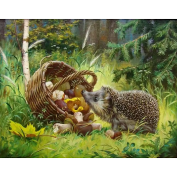 Diamanttavla Hedgehog And Mushrooms 40x50