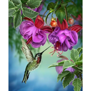 Diamanttavla Hummingbird And Flowers 30x40