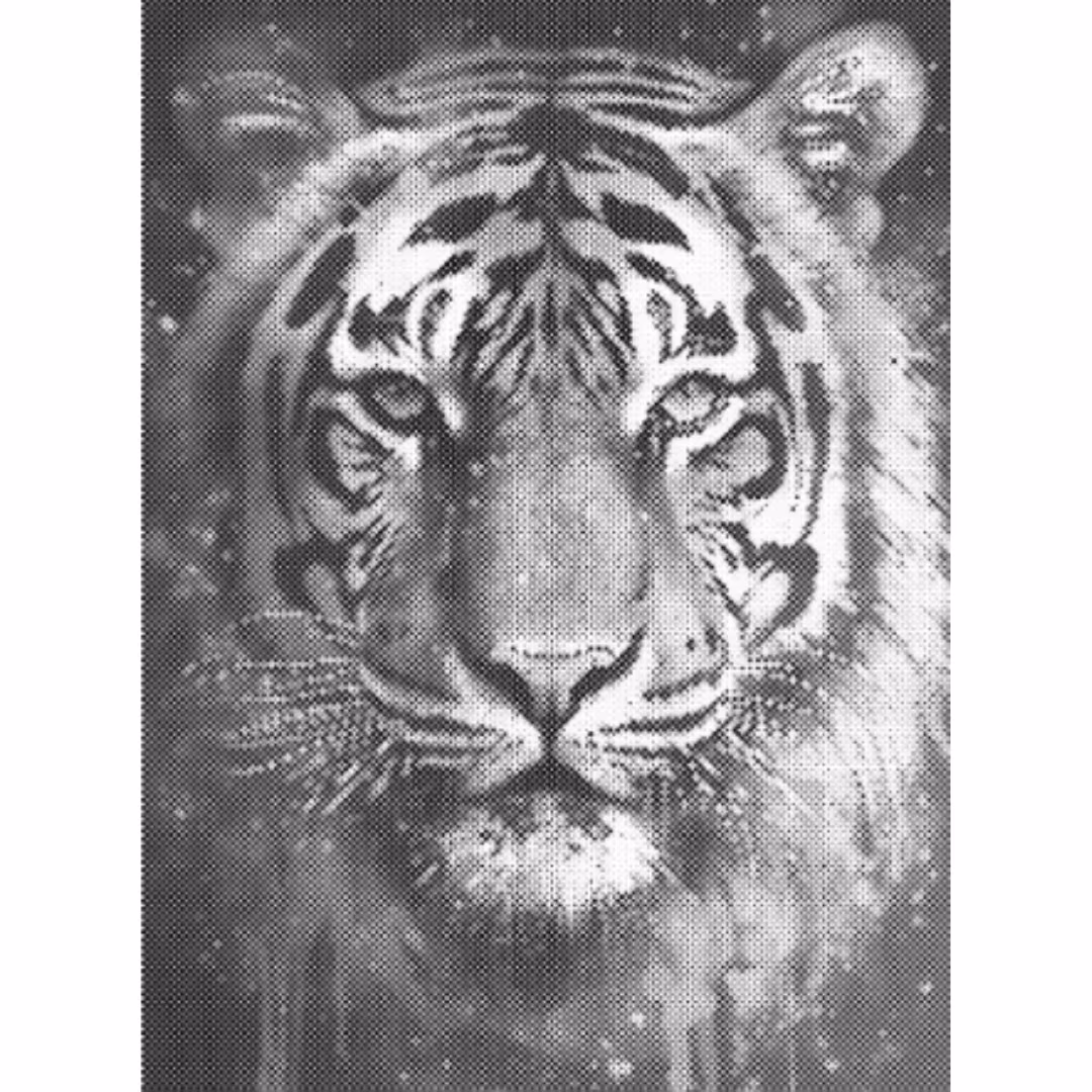 One Color Dot Painting Tiger 30x40