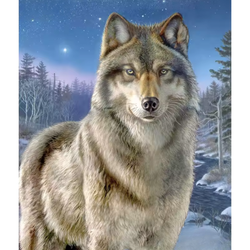 Diamanttavla Wolf (Runda) 40x50
