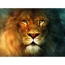Diamanttavla Lion (RUNDA) 40x50