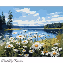 Paint By Numbers Prästkragar Vid Sjö 40x50