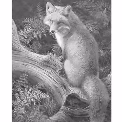 One Color Dot Painting Räv 40x50