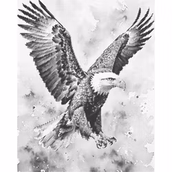 One Color Dot Painting Eagle 40x50