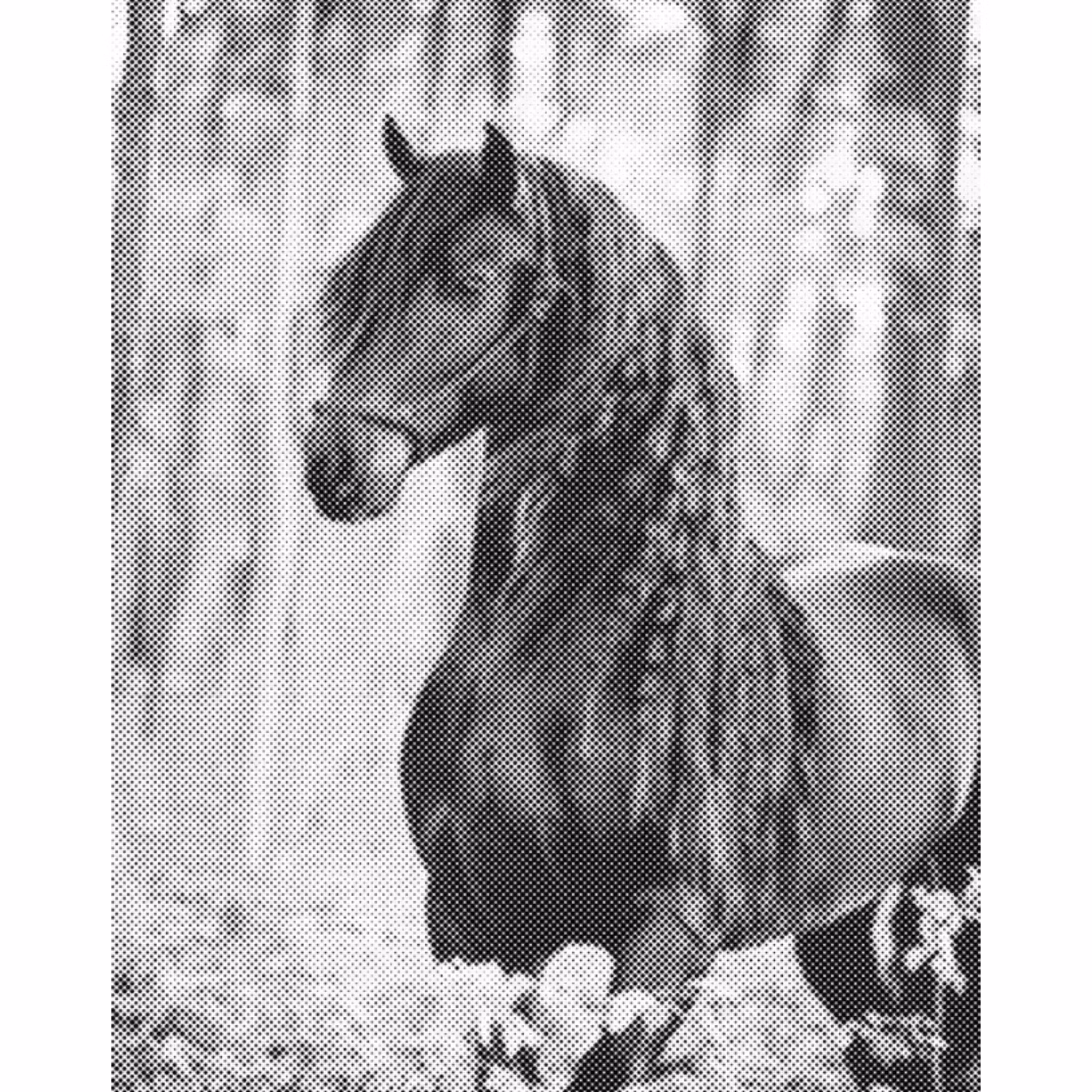 One Color Dot Painting Ståtlig Häst 40x50