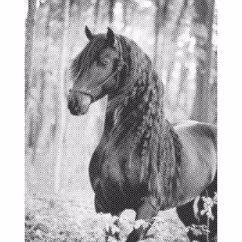 One Color Dot Painting Ståtlig Häst 40x50