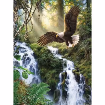 Diamanttavla Eagle Waterfall 40x50