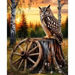 Diamanttavla Uggla På Stubbe 40x50