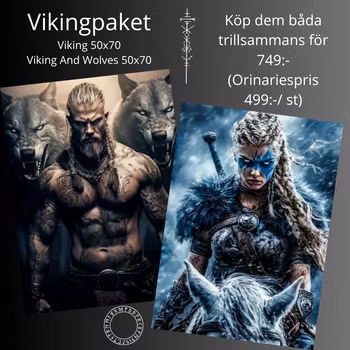 Diamanttavla Viking And Wolves 50x70 + Viking 50x70