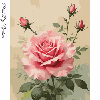 Paint By Numbers Rosa Rosor 40x50