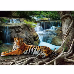 Diamanttavla Tiger Waterfalls 40x50