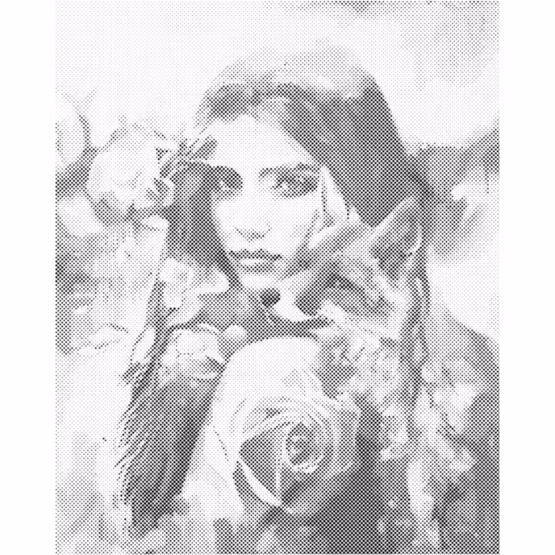 One Color Dot Painting Beauty And Fox 40x50