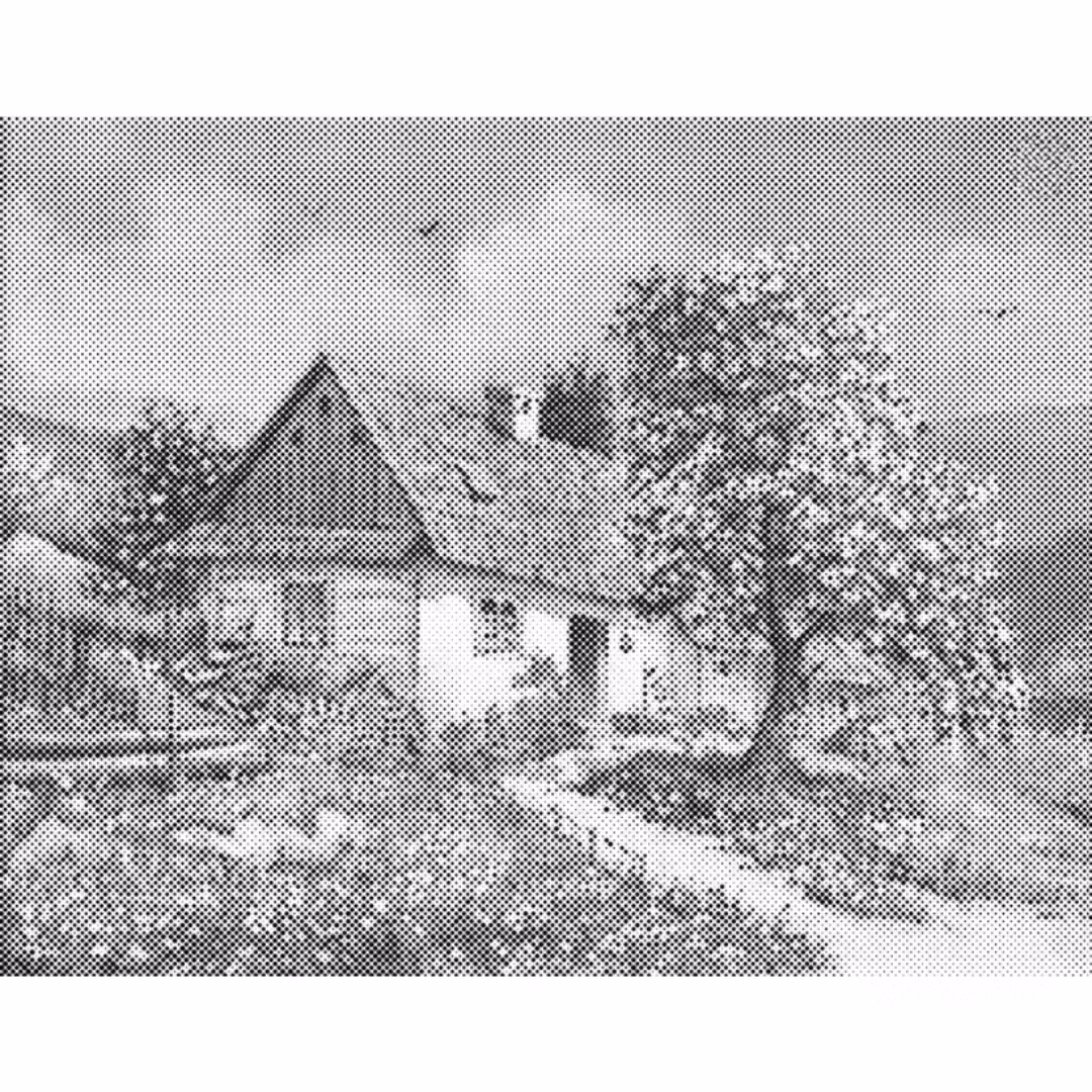 One Color Dot Painting Country House 40x50