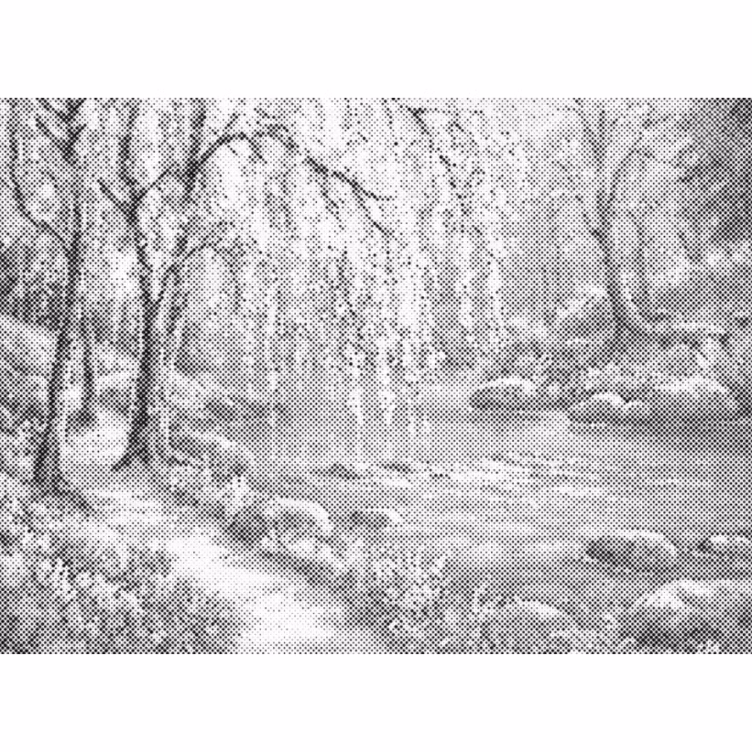 One Color Dot Painting Skogsbäck 30x40