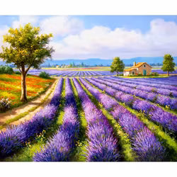 Diamanttavla Lavendel Landskap 40x50