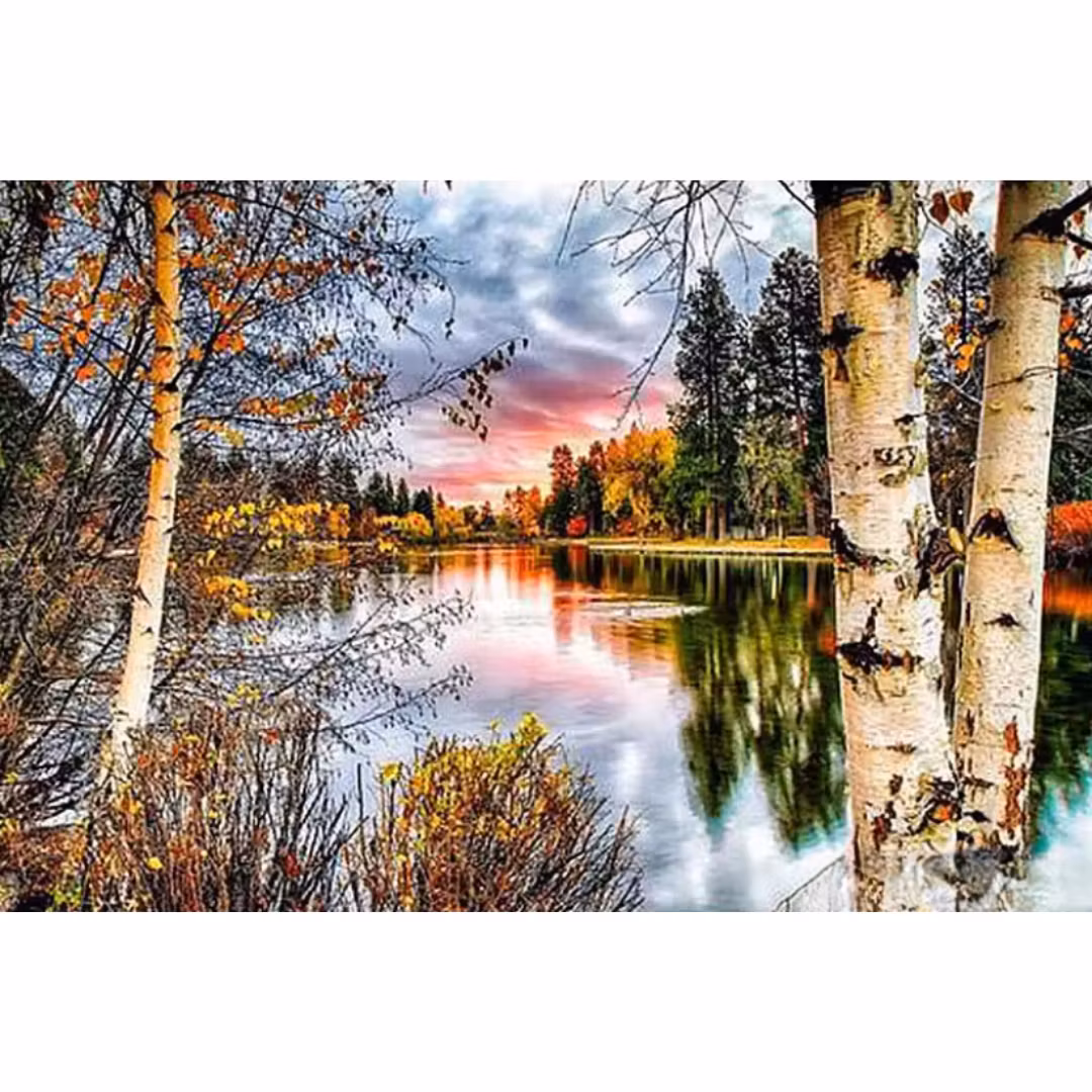 Diamanttavla Björkar Vid Sjö 40x50