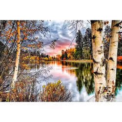Diamanttavla Björkar Vid Sjö 40x50