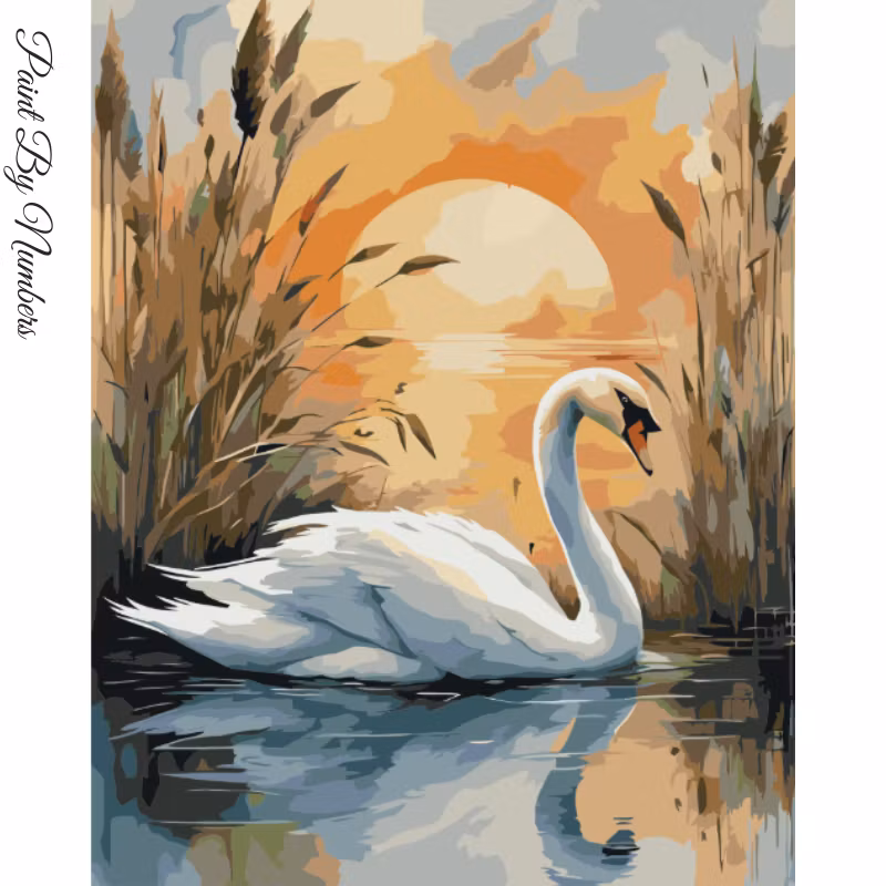 Paint By Numbers Svan Solnedgång 40x50