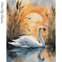 Paint By Numbers Svan Solnedgång 40x50