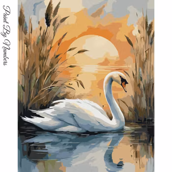 Paint By Numbers Svan Solnedgång 40x50