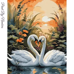 Paint By Numbers Svanar 40x50