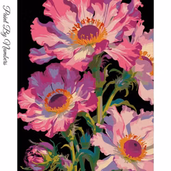 Paint By Numbers Rosa Blommor 40x50