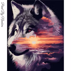 Paint By Numbers Wolf Nature 40x50