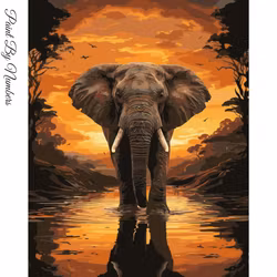 Paint By Numbers Elephant Sunset 40x50 - Leverans vecka 18