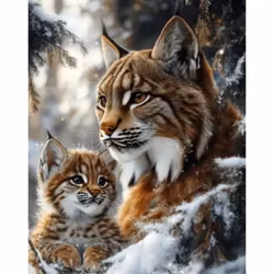 Diamanttavla Lodjur 40x50