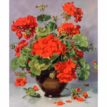 Diamanttavla Pelargoner 40x50