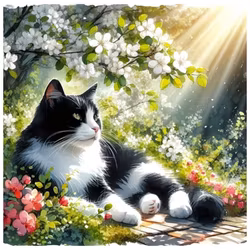 Diamanttavla Katt Morgonljus 40x40 - Leverans vecka 19-20
