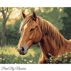 Paint By Numbers Häst 40x50 - Leverans Vecka 21-22