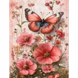 Diamanttavla Butterfly And Poppyflowers 40x50