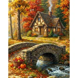 Diamanttavla Lynx Starry Night 40x50 - Lev v. 41