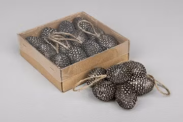 Ägg Hänge Prick Fjäder 12-Pack