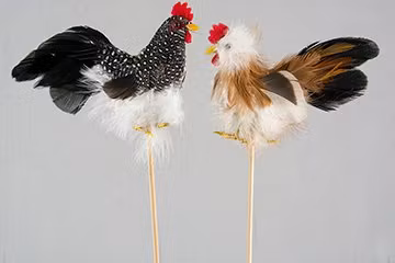 Stick Tupp Svart/Vit 12 cm