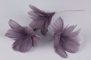 Fjäder blom Lila 12 st