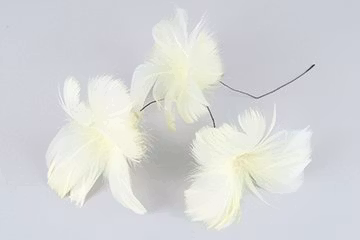 Fjäder blom Gul 12 st