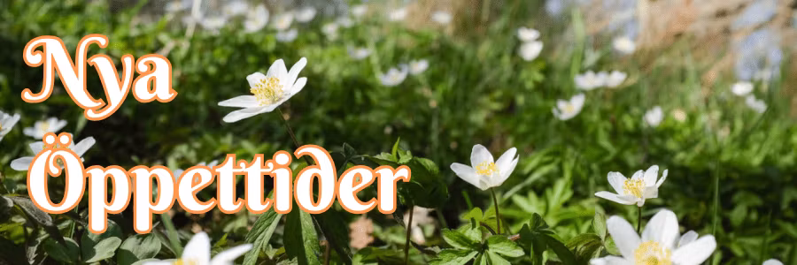 Nya Öppettider