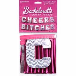Bachelorette Cheers Bitches Party Banner