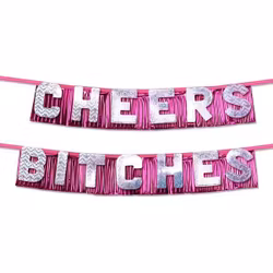 Bachelorette Cheers Bitches Party Banner