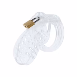 Extreme Chastity Cock Cage Acrylic