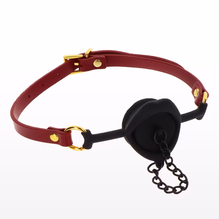 Kinky Gag with Plug