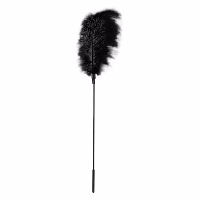 Large Feather Tickler