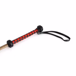 Bamboo Cane