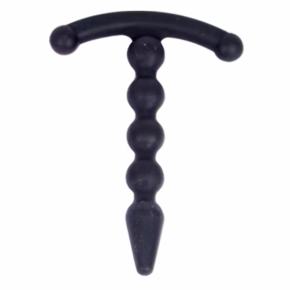 Penisplug
