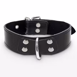Elegant D-Ring Collar