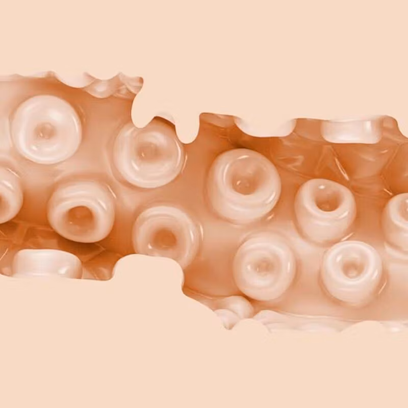 Fleshlight - Sasha Nakamoto