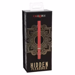 Hidden Pleasures