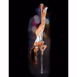 Light-Up Disco Pole